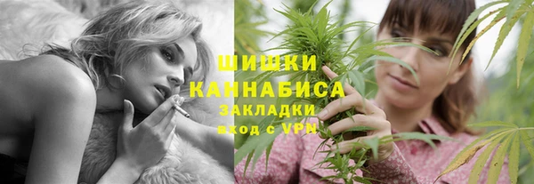 PSILOCYBIN Вязники