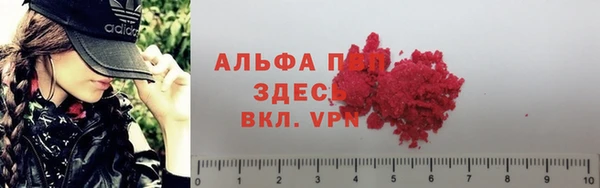 PSILOCYBIN Вязники