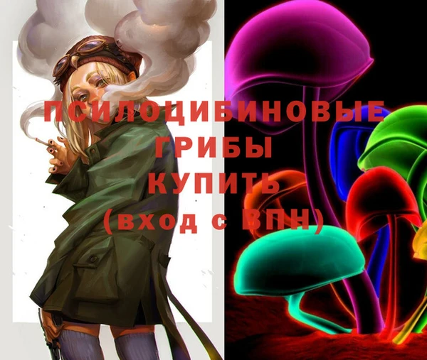 спайс Вязьма