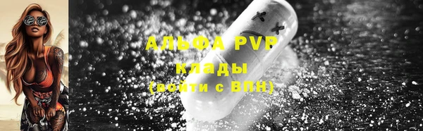 PSILOCYBIN Вязники