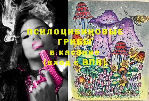 PSILOCYBIN Вязники