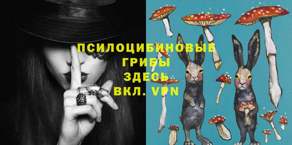 PSILOCYBIN Вязники