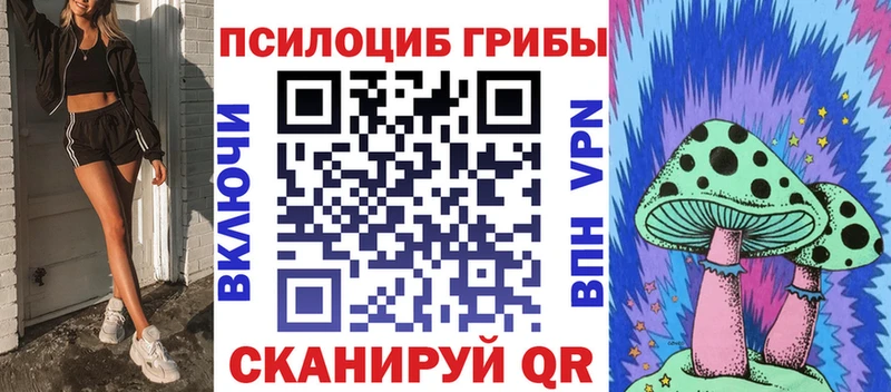kraken ссылки  цена   Заозёрск  Галлюциногенные грибы Cubensis 